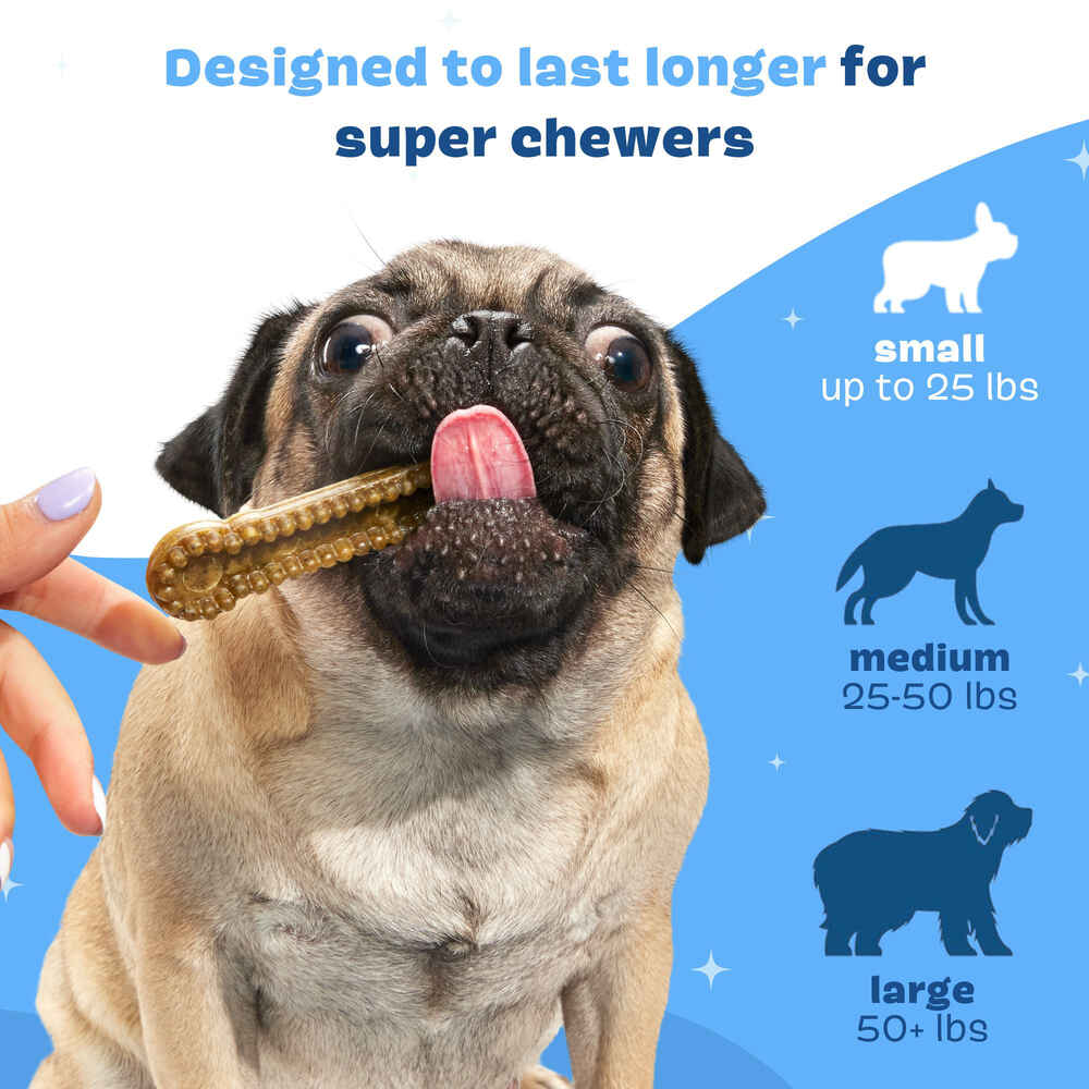 BARK Bright Durable Dental Chew Sticks for Dogs