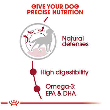 Royal Canin Size Health Nutrition Medium Breed Adult Dry Dog Food - 17 lb Bag