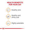 Royal Canin Feline Care Nutrition Hair & Skin Care Thin Slices In Gravy Adult Wet Cat Food - 3 oz Cans - Case of 24