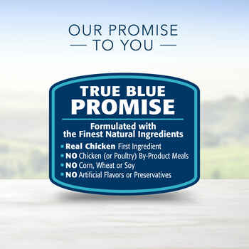 Blue Buffalo Life Protection Formula Large Breed Adult Chicken & Brown Rice Recipe Dry Dog Food