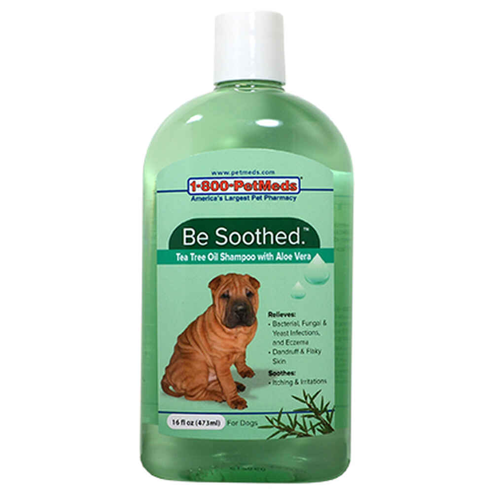 Be Soothed Shampoo w/ Aloe & Tea Tree Oil
