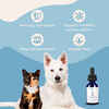 Prana Pets Nervous System Support Natural Medicine for Anxiety, Muscle Spasms & Seizures for Cats & Dogs 2 fl oz.