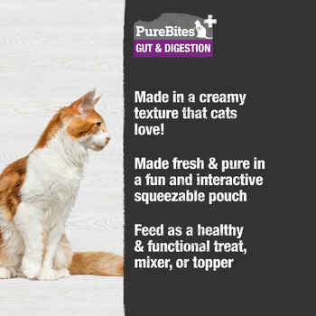 PureBites Plus Squeezables For Cats - Gut & Digestion