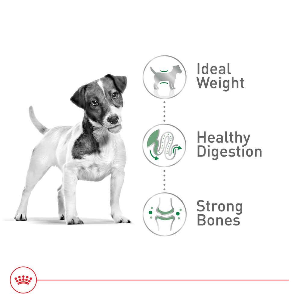 Royal Canin Size Health Nutrition Small Breed Adult Dry Dog Food