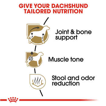 Royal Canin Breed Health Nutrition Dachshund Adult Dry Dog Food 10 lb Bag
