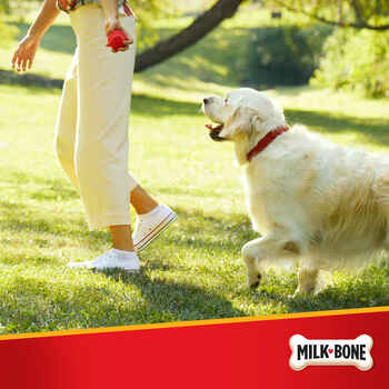 Milk-Bone® Pill Pouches