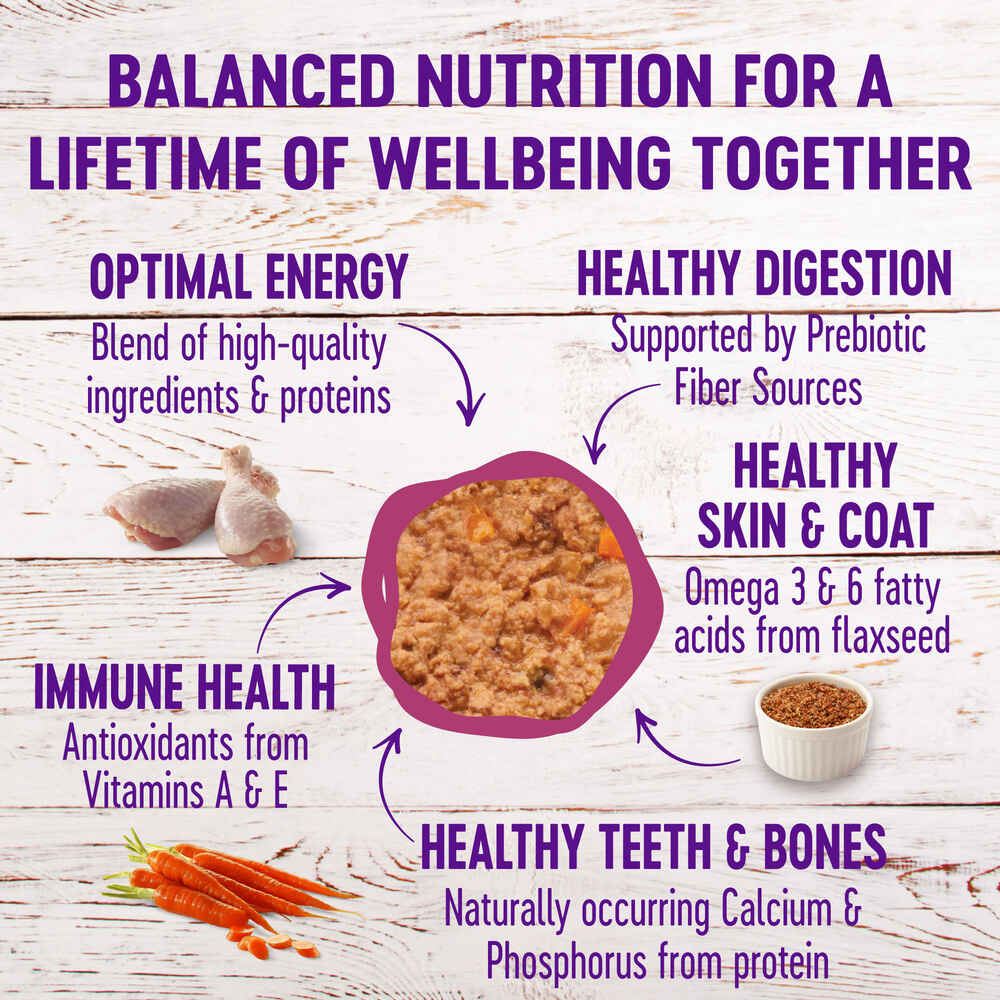 Wellness Complete Health Pate Chicken & Lobster Dinner Wet Cat Food