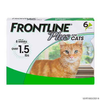 Frontline Plus 6pk Cats Kittens product detail number 1.0