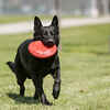 KONG Flyer Flying Disc Dog Toy Small