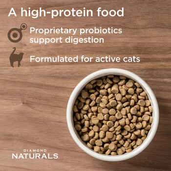 Diamond Naturals Active Cat Chicken Meal & Rice Formula Dry Cat Food - 6 lb Bag