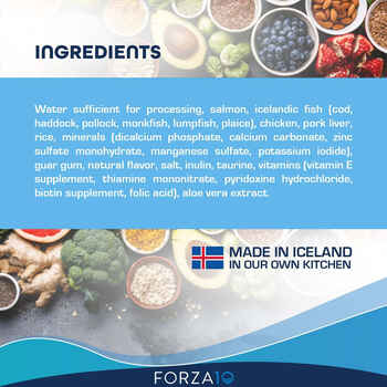 Forza10 Nutraceutic ActiWet Hypo Support Icelandic Fish Recipe Wet Cat Food 3.5 oz Trays - Case of 32