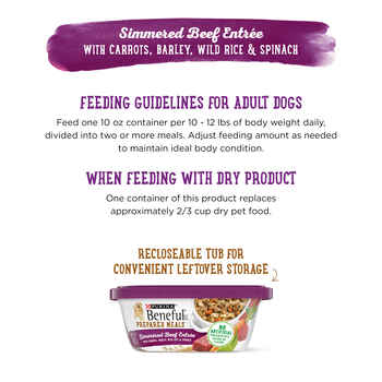 Purina Beneful Prepared Meals Simmered Beef Entree Wet Dog Food 10 oz Tub - Case of 8