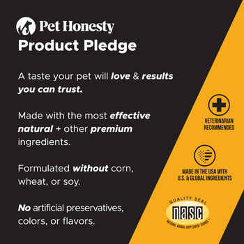 Pet Honesty Allergy Support Peanut Butter Flavored Soft Chews Allergy & Immune Supplement for Dogs 90 Count