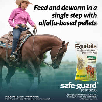 Safe-Guard Equi-Bits Fenbendazole Type C Medicated Feed - 1.25 lb (567.5 gm) Bag
