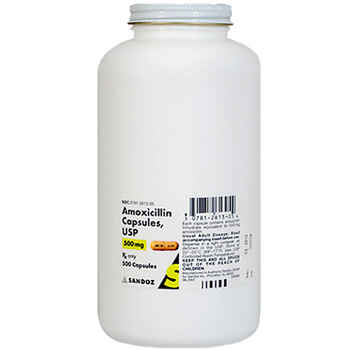 Amoxicillin 500 mg (sold per capsule) product detail number 1.0