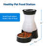 PetSafe Healthy Pet Food Station Gravity Feeder - Small