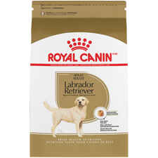 Royal Canin Breed Health Nutrition Labrador Retriever Adult Dry Dog Food-product-tile