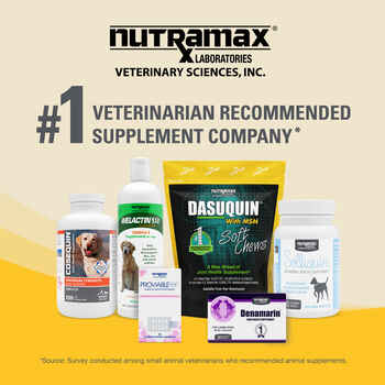Nutramax Dasuquin Joint Health Supplement - With Glucosamine, Chondroitin, ASU, MSM, Boswellia Serrata Extract, Green Tea Extract Large Dogs, 84 Chewable Tablets