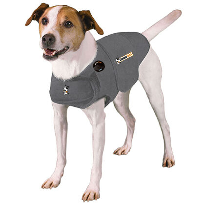 buy thundershirt