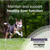 Nutramax Denamarin Liver Health Supplement for Large Dogs - With S-Adenosylmethionine (SAMe) and Silybin