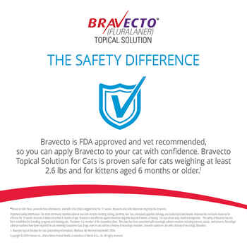 Bravecto for Cats