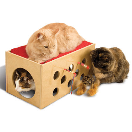 Pioneer Pet Bootsie S Bunkbed Playroom For Cats 1800petmeds