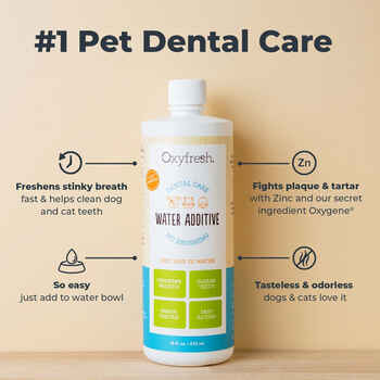 Oxyfresh Premium Pet Dental Water Additive Bad Breath Solution for Dogs & Cats 16 oz Bottle