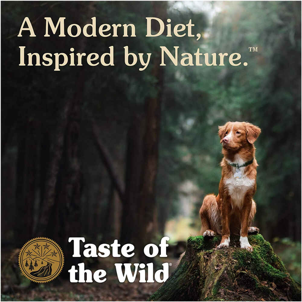 Taste Of The Wild High Prairie Canned Dog Food