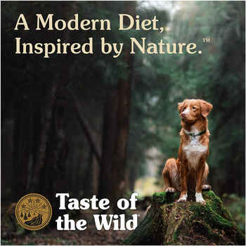 Taste Of The Wild High Prairie Canned Dog Food Beef 13.2-oz, case of 12