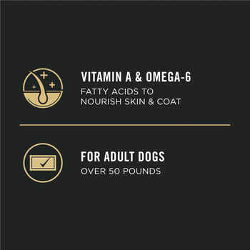 Purina Pro Plan Adult Large Breed Chicken & Rice Formula Dry Dog Food 18 lb Bag