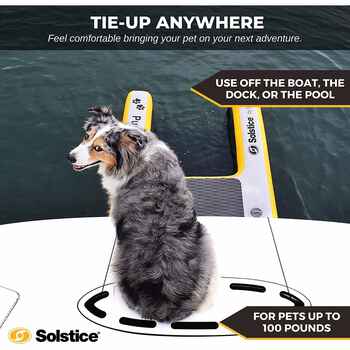 Solstice Inflatable Pup Plank Ramp