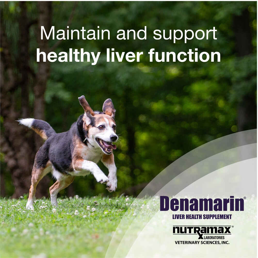 Denamarin Tablets Cats & Small Dogs 30 ct