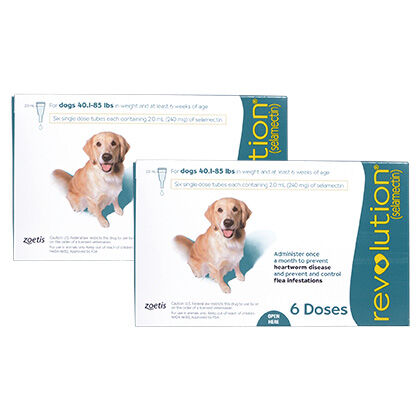 revolution for dogs 21 40 lbs