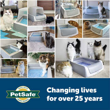 PetSafe ScoopFree Crystal Smart Front-Entry Self-Cleaning Cat Litter Box 