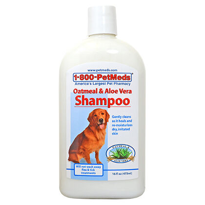 aloe vera dog shampoo