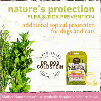 Earth Animal Nature's Protection™ Flea & Tick Herbal Collar for Cats Cats, 13in