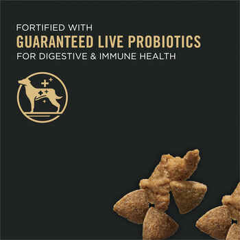 Purina Pro Plan Adult Complete Essentials Shredded Blend Turkey & Rice Formula Dry Dog Food 
