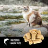 ORIJEN Six Fish Freeze-Dried Cat Treats 1.25 oz Bag