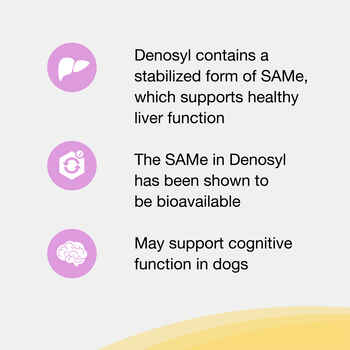 Nutramax Denosyl Liver and Brain Health Supplement, With S-Adenosylmethionine (SAMe) Large Dogs, 30 Tablets