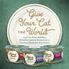 Fancy Feast Medleys Florentine Variety Pack Wet Cat Food 3 oz. Cans - Case of 12
