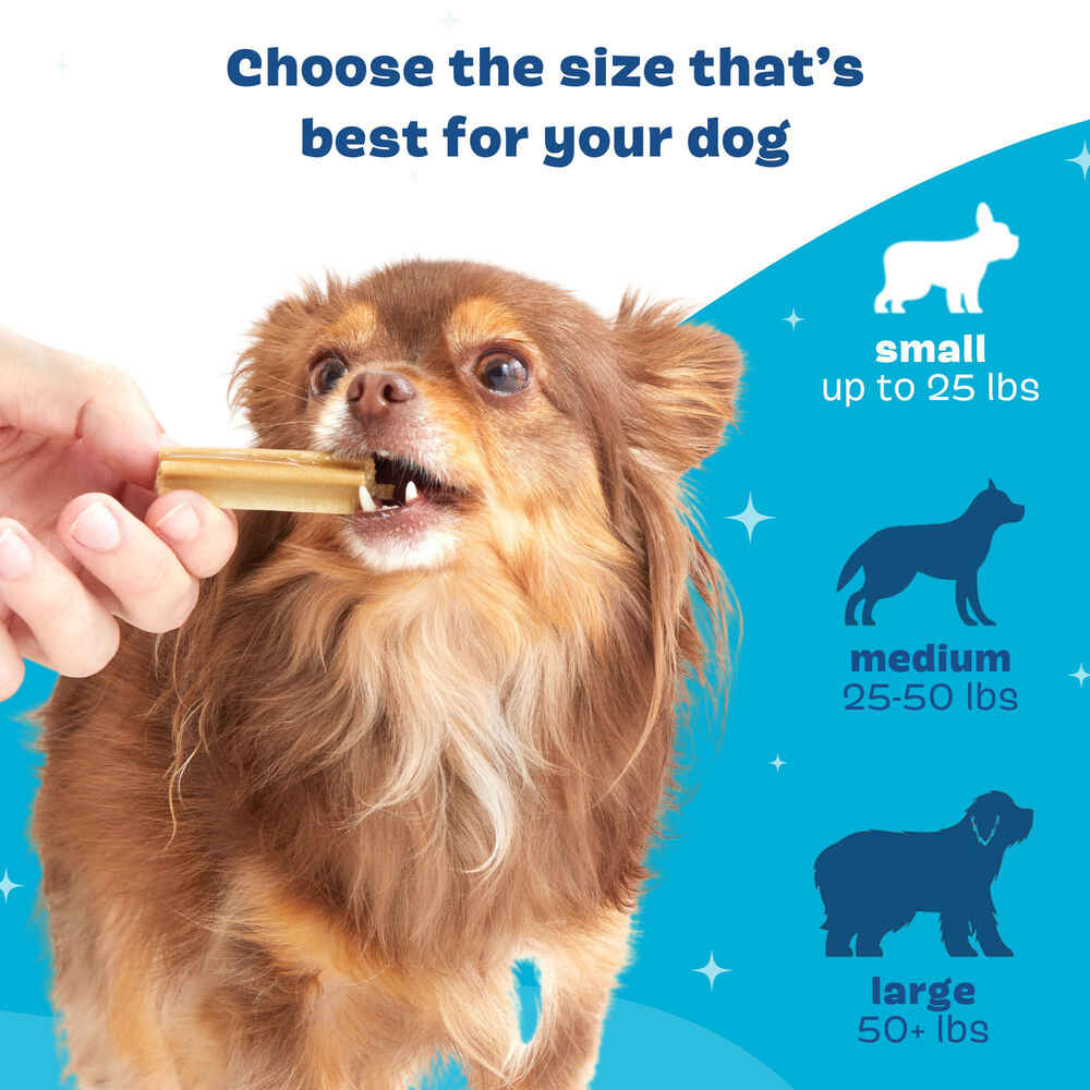 BARK Bright Original Dental Chew Sticks for Dogs