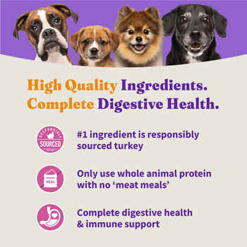 Holistic Healthy Weight Support Cage-Free Turkey & Sweet Potato Dry Dog Food 21lb bag