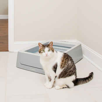 PetSafe ScoopFree Crystal Smart Self-Cleaning Cat Litter Box 