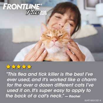 Frontline Plus 3pk Cats & Kittens