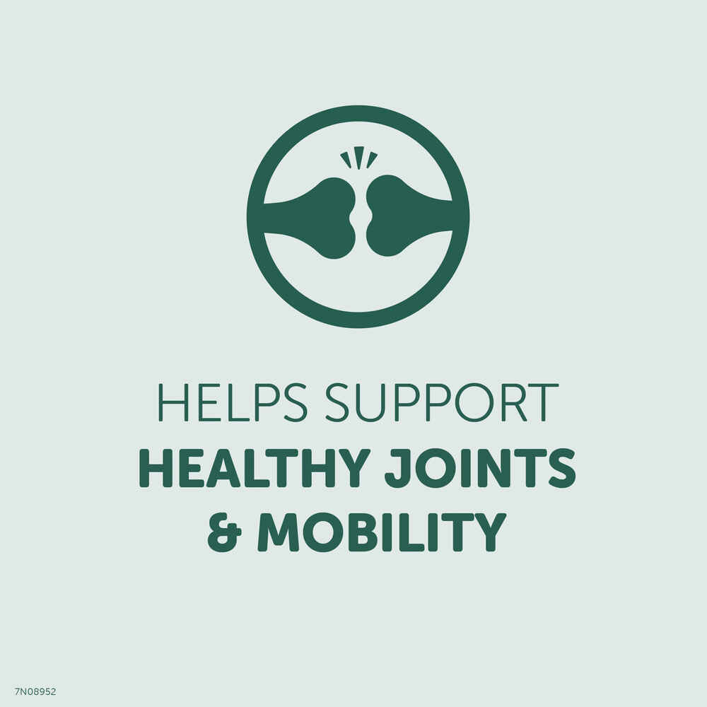 Healthfuls Hip & Joint Support Chicken Recipe Dog Treats
