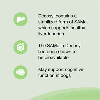 Nutramax Denosyl Liver and Brain Health Supplement, With S-Adenosylmethionine (SAMe) Small Dogs and Cats, 30 Tablets