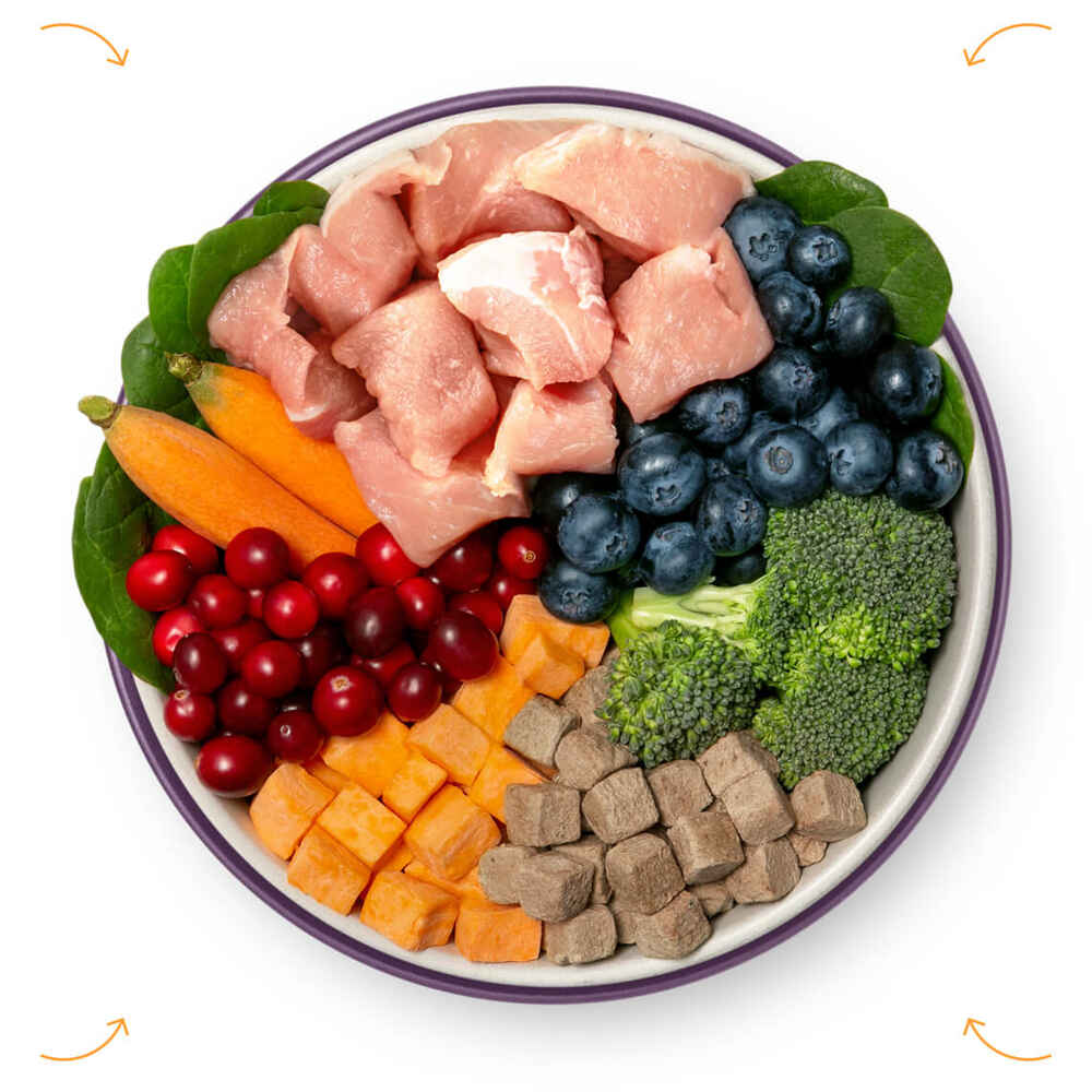 Ultimate Pet Nutrition Nutra Complete Freeze Dried Raw Pork Dog Food