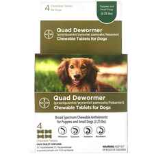 Bayer Quad Dewormer Chewable Tablets for Dogs Puppies and Small Dogs 4 ct-product-tile