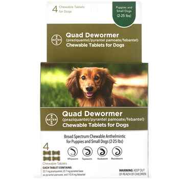 Bayer Quad Dewormer Chewable Tablets for Dogs Puppies and Small Dogs 4 ct product detail number 1.0