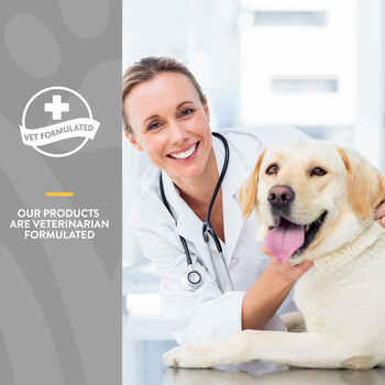 NaturVet Senior Advanced Calming Aid Supplement for Dogs Soft Chews 60 ct